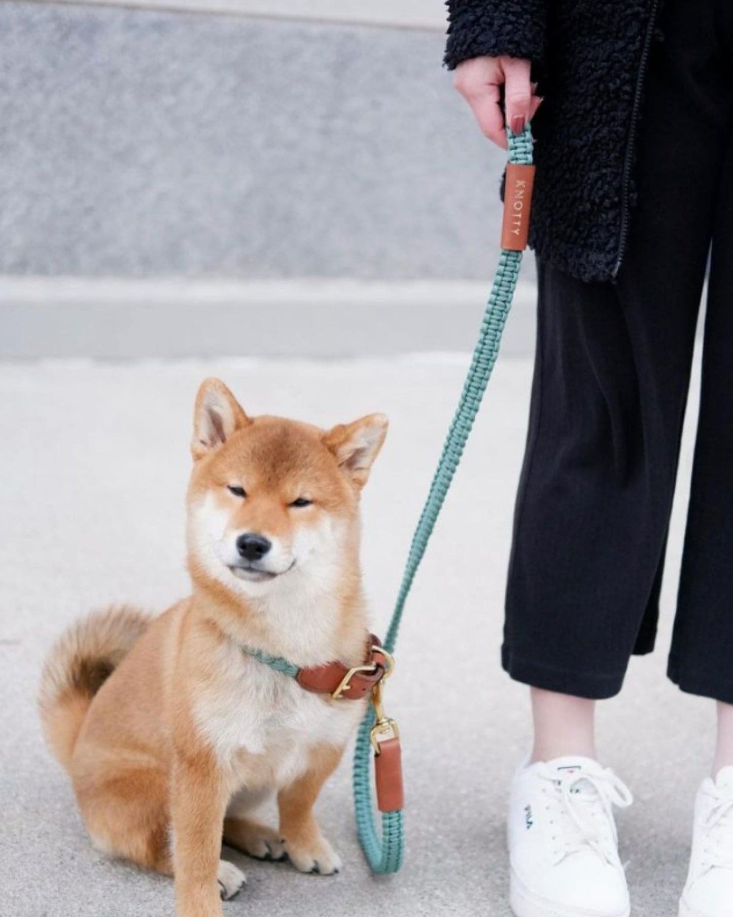 Braided Knotty Dog Leash in Mint