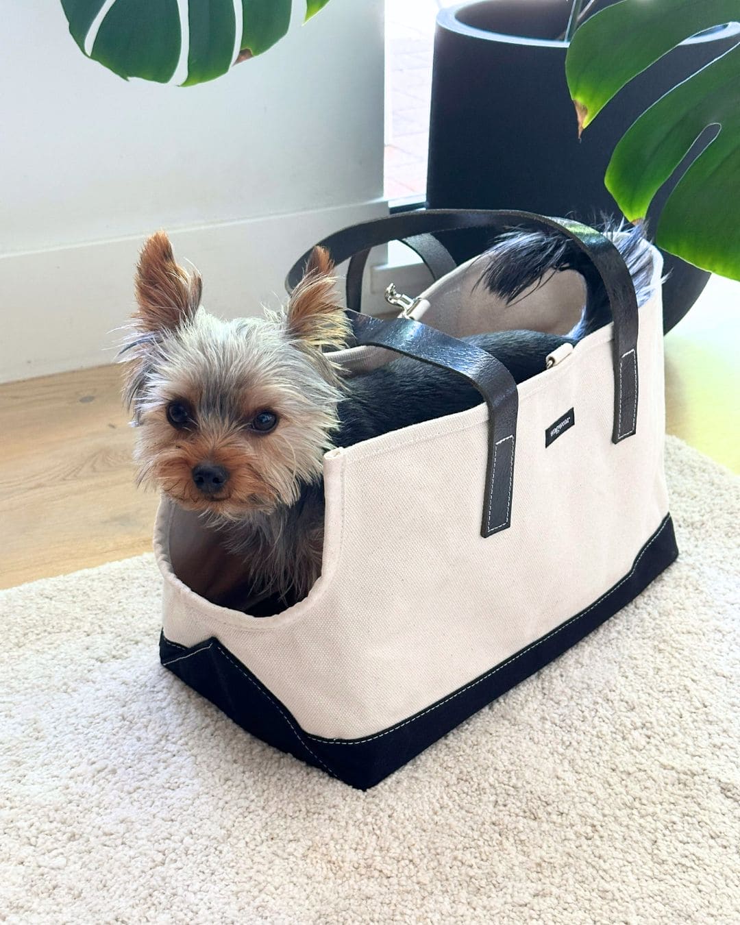 Carpenter Dog Carrier Bag in Black Leather Straps