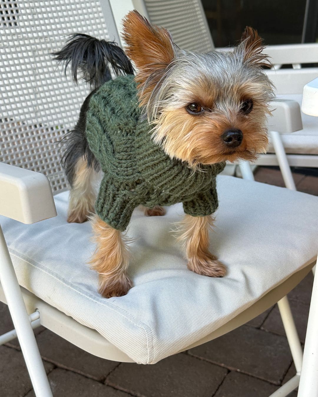 Fisherman Dog Sweater in Green