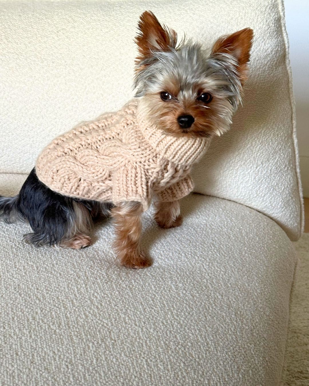 Fisherman Dog Sweater in Cream