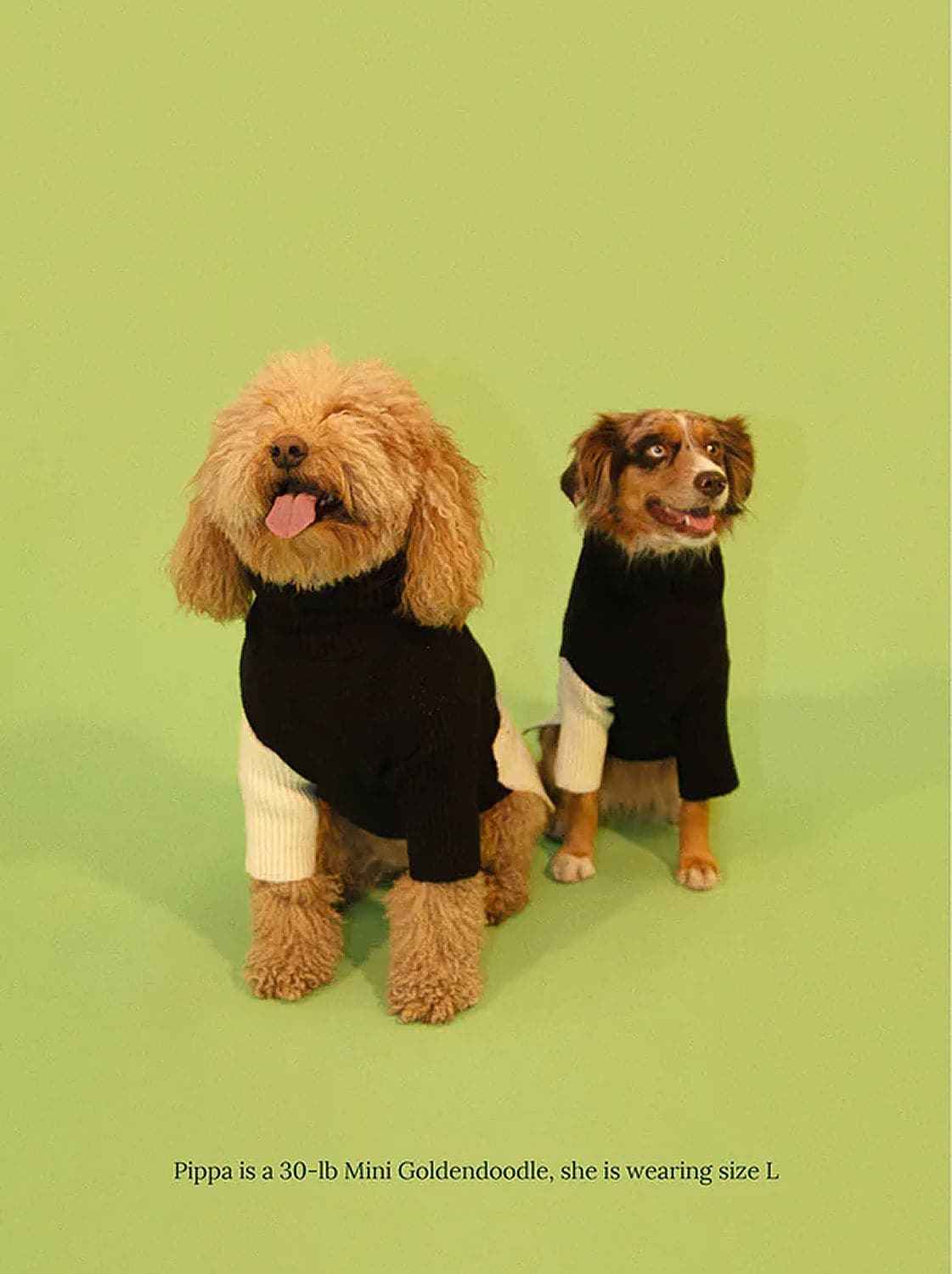 U+Me Dog Sweater