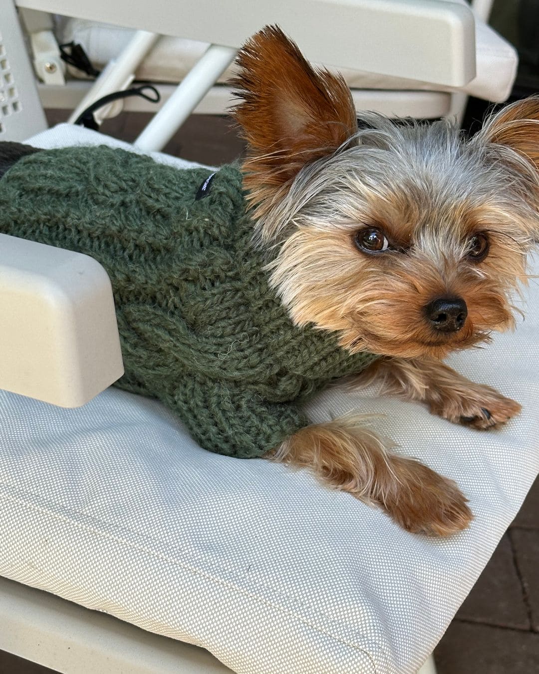 Fisherman Dog Sweater in Green