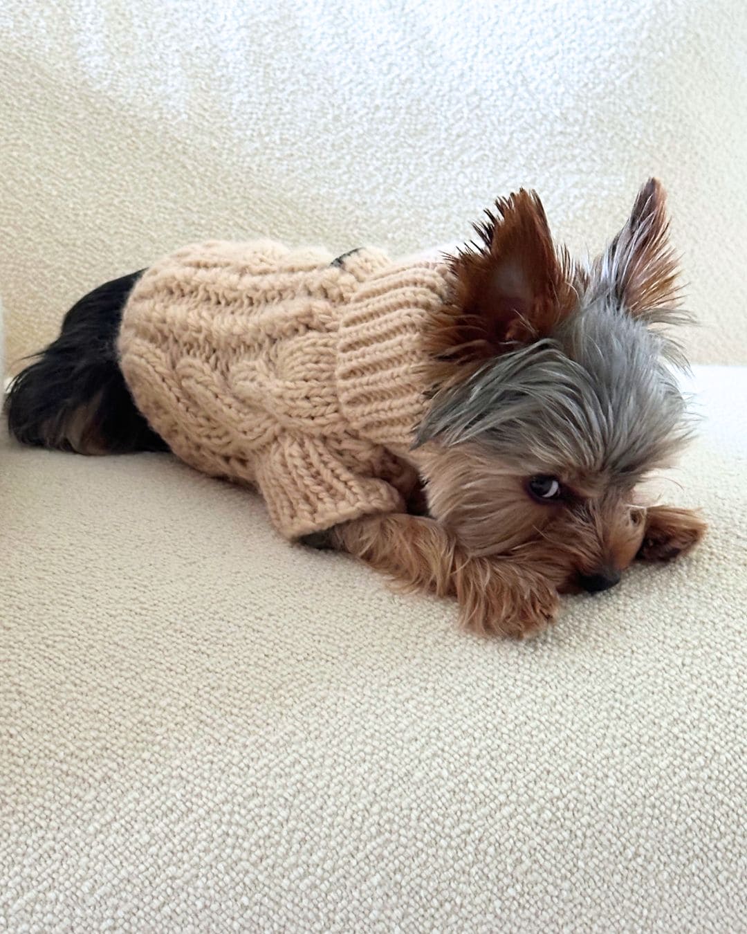 Fisherman Dog Sweater in Cream