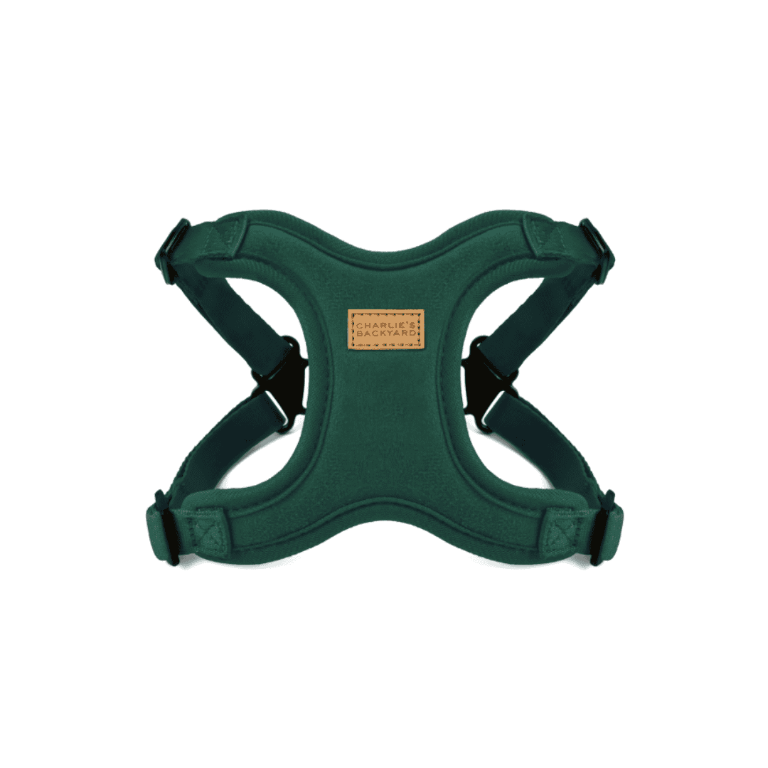 Comfort Dog Harness in Green