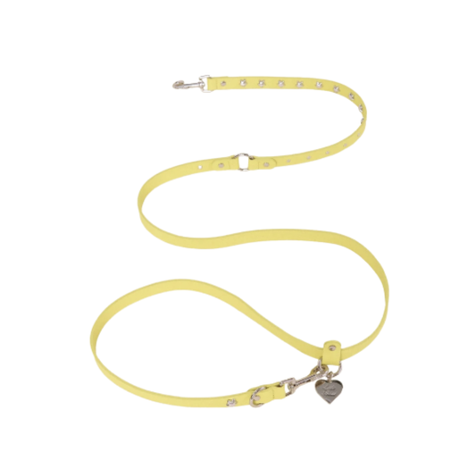 Buttercup Leather Dog Leash