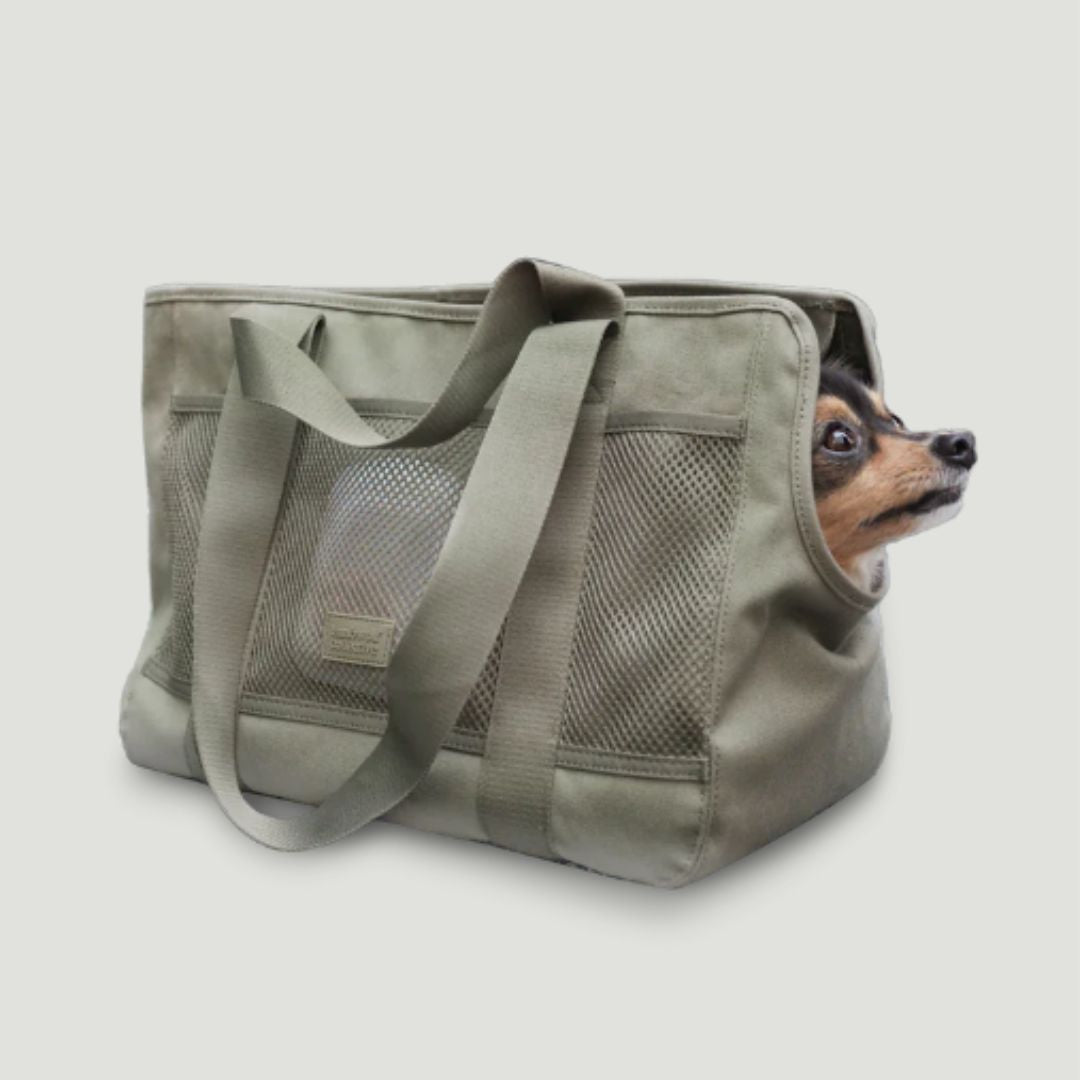 Subway Pet Carrier in Fern