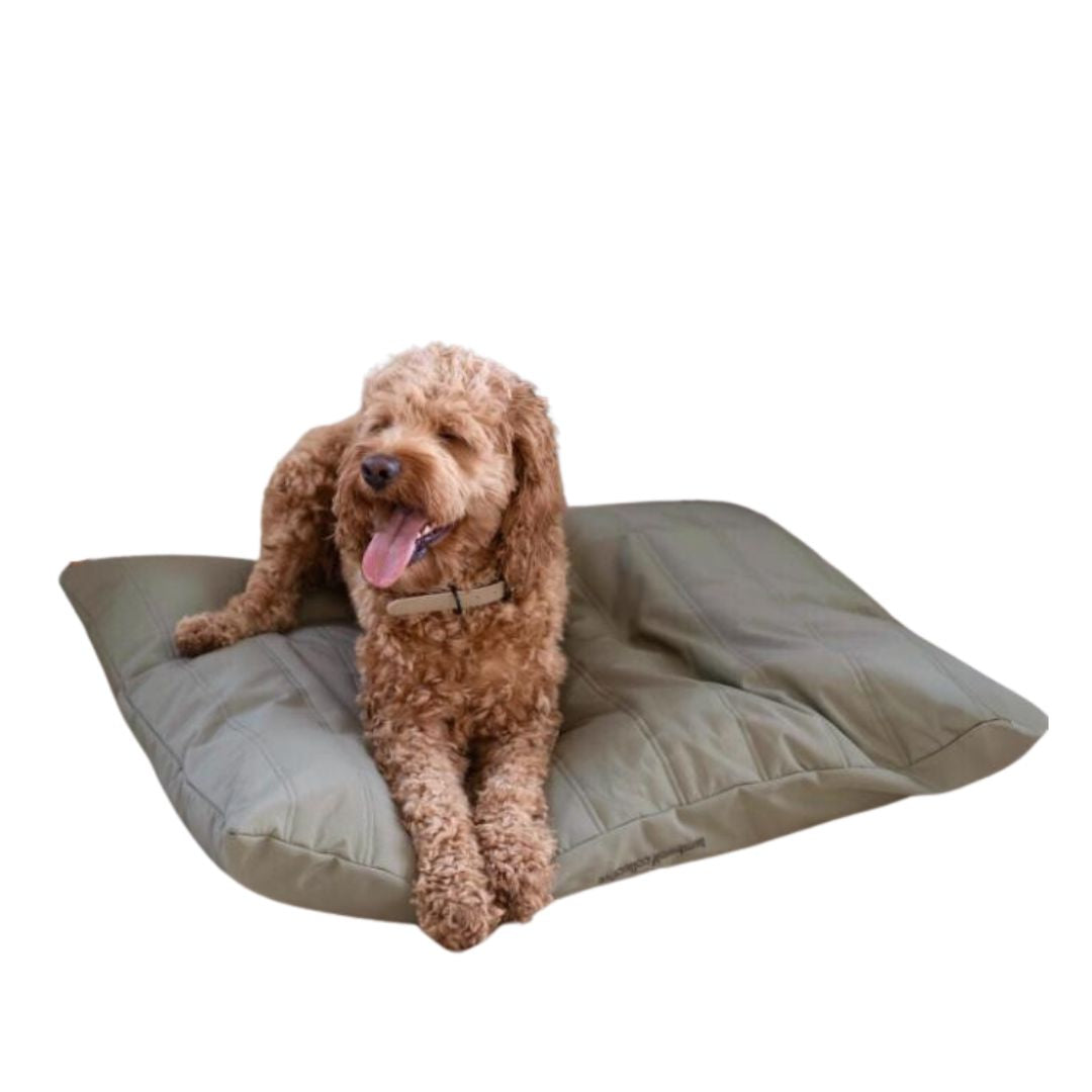 Maatin Dog Bed in Fern