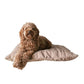 Maatin Dog Bed in Camel