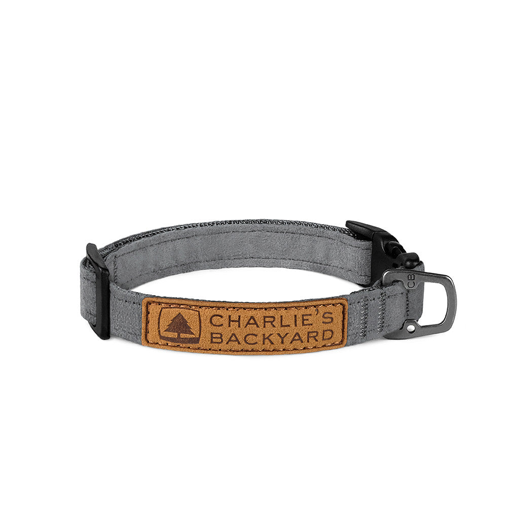 Easy Dog Collar in Grey