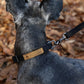 Easy Dog Collar in Black