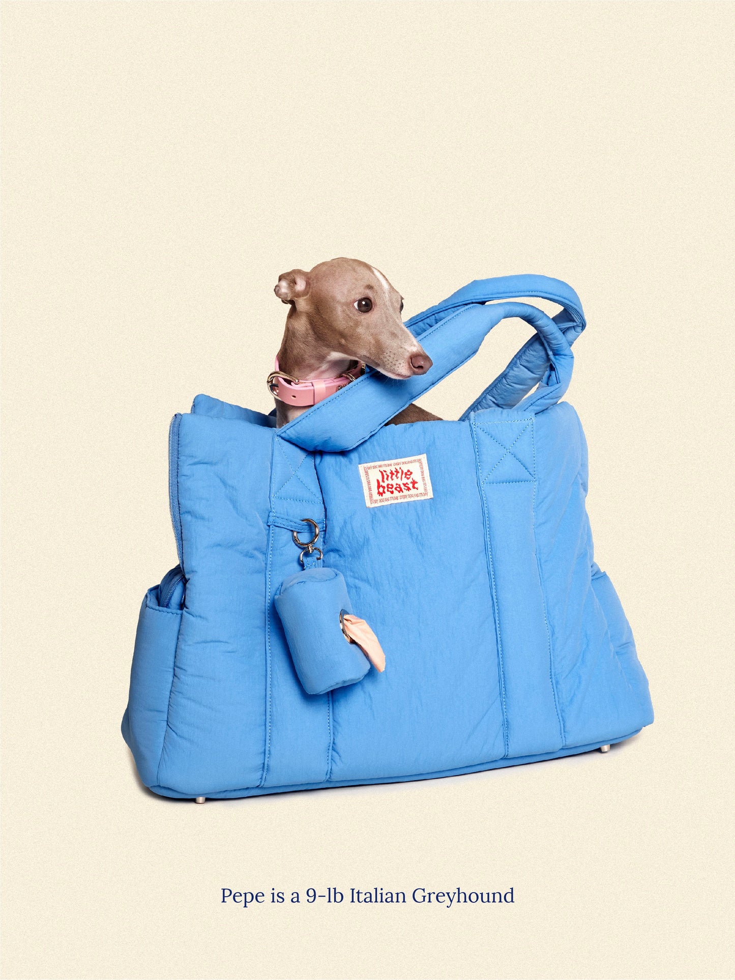 The Little Beast Dog Carrier Baby Blue